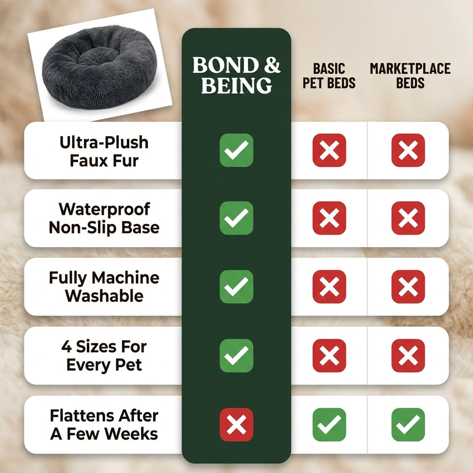 The Dream Bed compared with competing beds