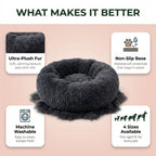 Pet Bed Dream - what makes it better