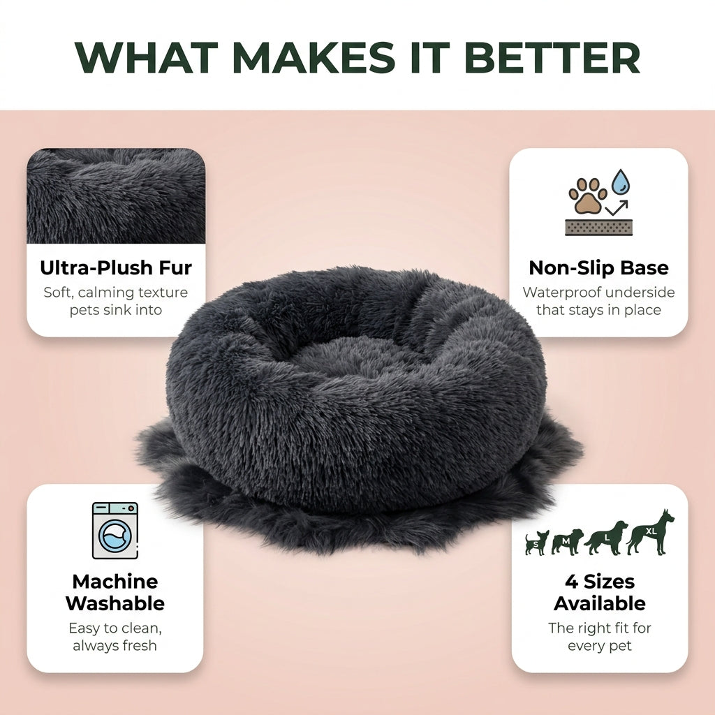 Pet Bed Dream - what makes it better