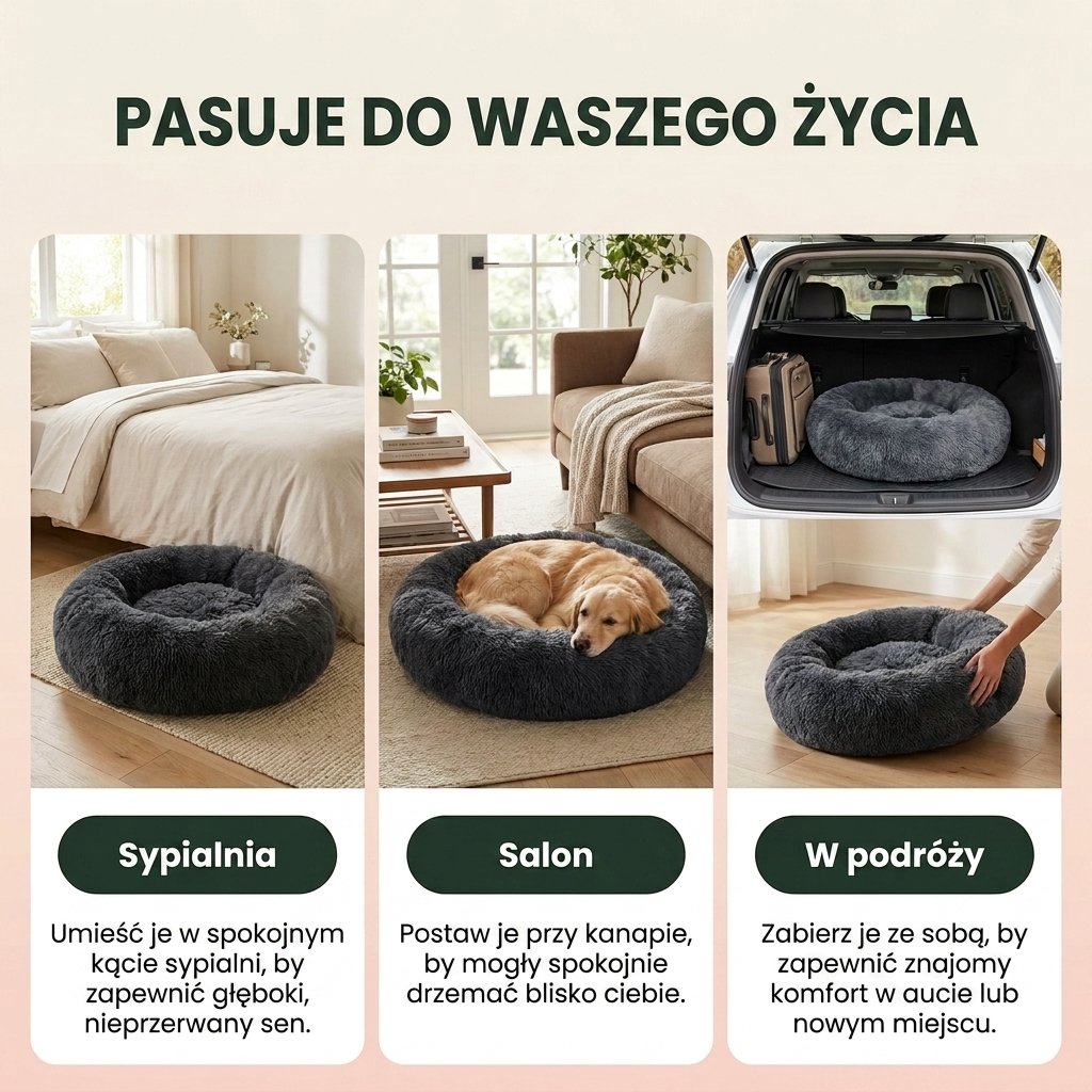 Legowisko Dream w salonie, sypialni i samochodzie